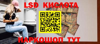 гидра Гатчина