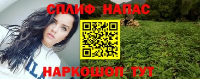 гидра Гатчина