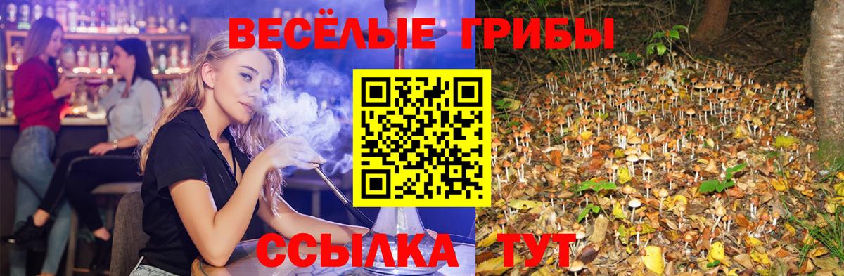 где найти   Галлюциногенные грибы GOLDEN TEACHER  Вход с VPN  Псилоцибиновые грибы Psilocybe  Шарыпово 